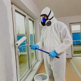 Keep Your Home Healthy and Sustainable: Paint with Care!